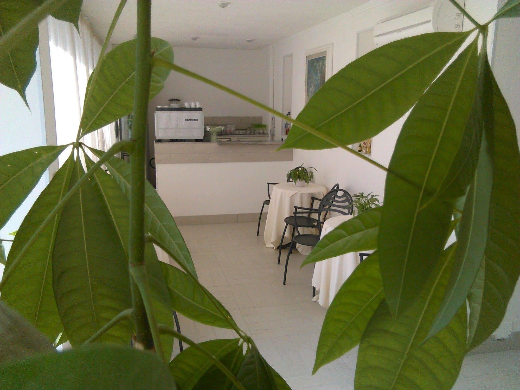 Milano Hotell Marina di Pietrasanta Exteriör bild